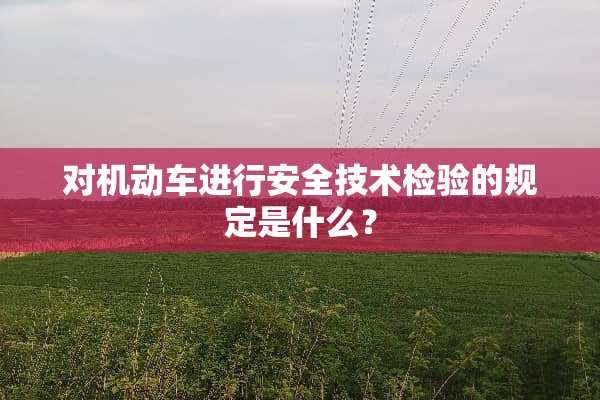 对机动车进行安全技术检验的规定是什么？
