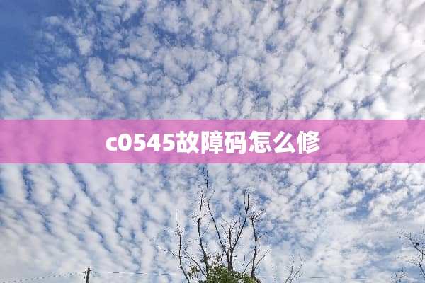 c0545故障码怎么修
