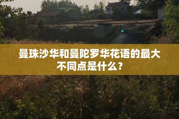 曼珠沙华和曼陀罗华花语的最大不同点是什么？