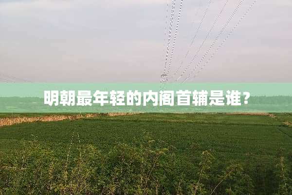 明朝最年轻的内阁首辅是谁？