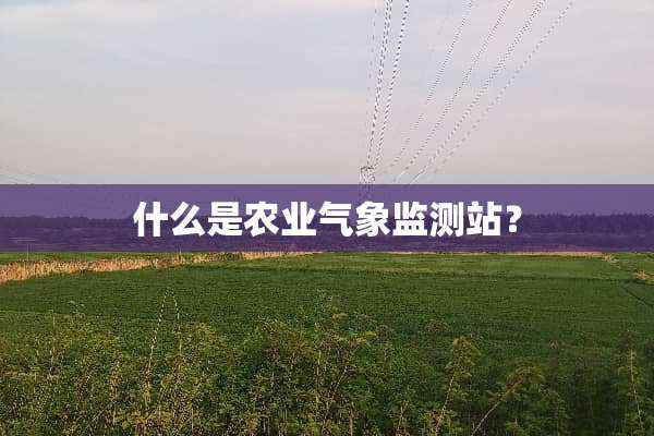 什么是农业气象监测站？