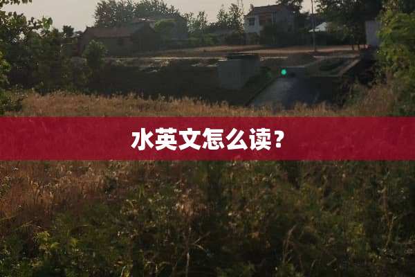水英文怎么读？