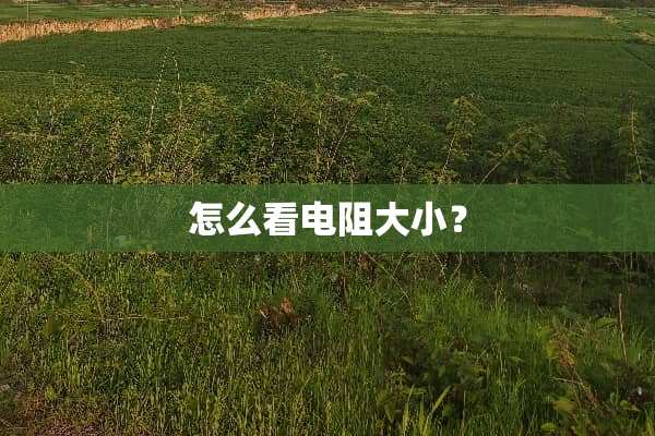 怎么看电阻大小？