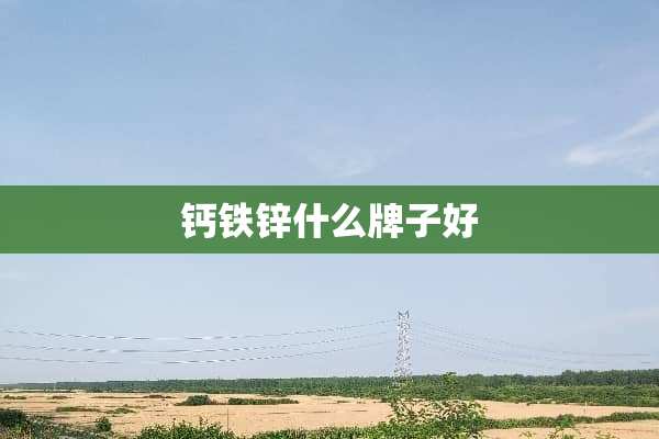 钙铁锌什么牌子好
