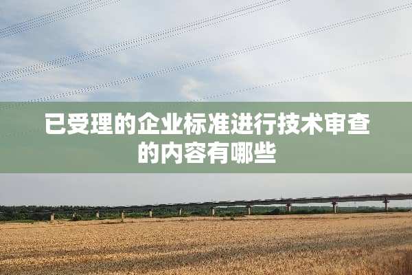已受理的企业标准进行技术审查的内容有哪些