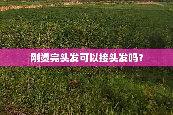 刚烫完头发可以接头发吗？