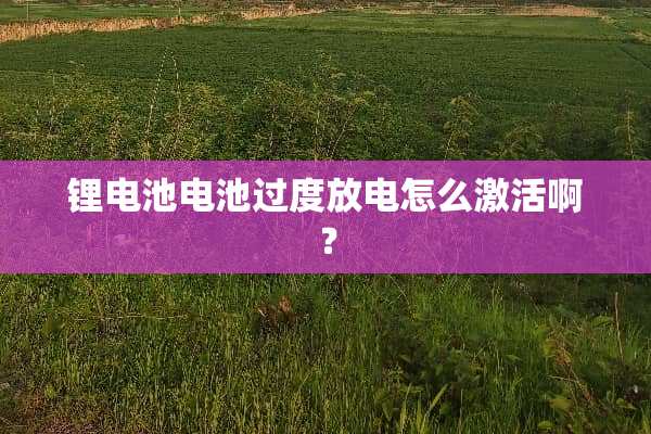 锂电池电池过度放电怎么激活啊？