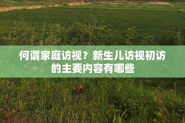 何谓家庭访视？新生儿访视初访的主要内容有哪些