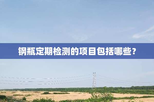 钢瓶定期检测的项目包括哪些？