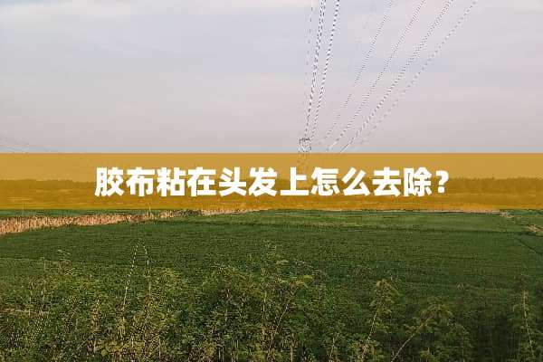 胶布粘在头发上怎么去除？