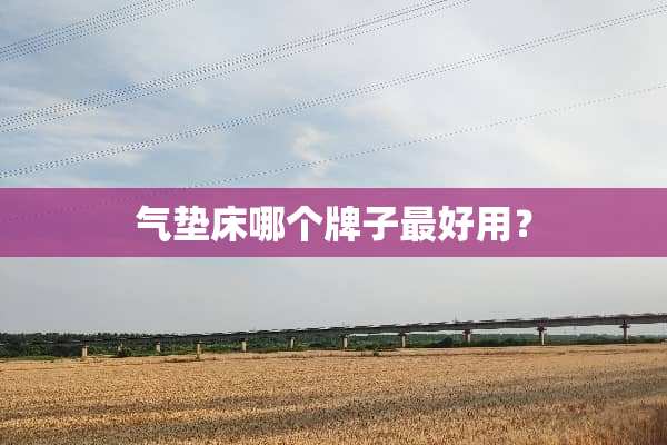 气垫床哪个牌子最好用？
