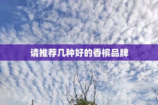 请推荐几种好的香槟品牌