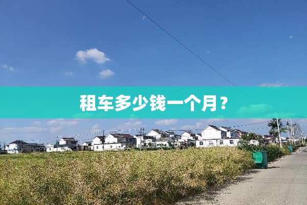 租车多少钱一个月？