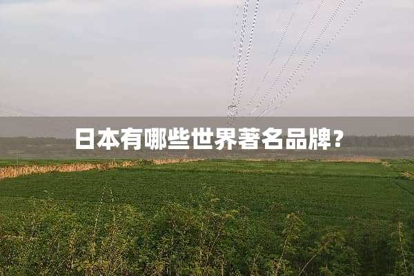 日本有哪些世界著名品牌？