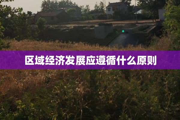 区域经济发展应遵循什么原则