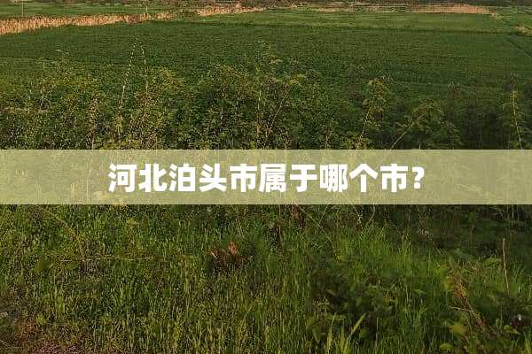 河北泊头市属于哪个市？