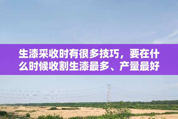 生漆采收时有很多技巧，要在什么时候收割生漆最多、产量最好？