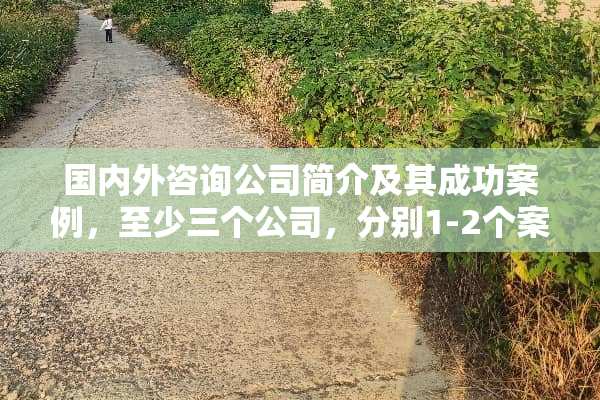 国内外咨询公司简介及其成功案例，至少三个公司，分别1-2个案例拜托各位大神