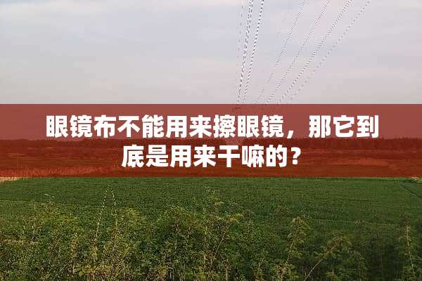 眼镜布不能用来擦眼镜，那它到底是用来干嘛的？
