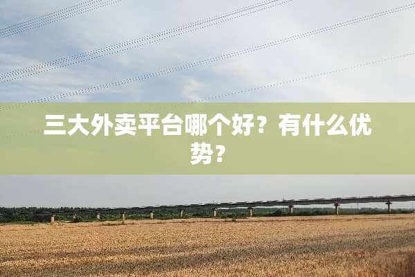 三大外卖平台哪个好？有什么优势？
