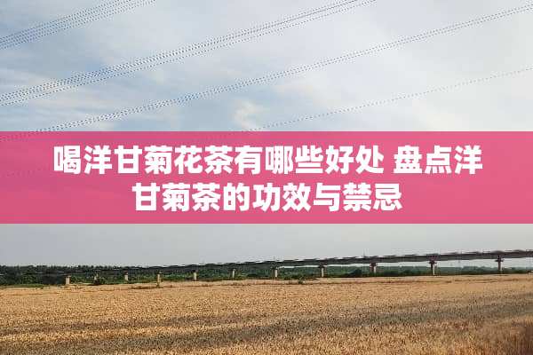 喝洋甘菊花茶有哪些好处 盘点洋甘菊茶的功效与禁忌
