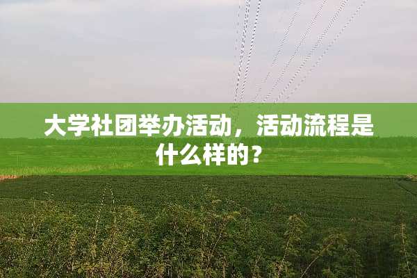 大学社团举办活动，活动流程是什么样的？