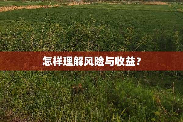 怎样理解风险与收益？