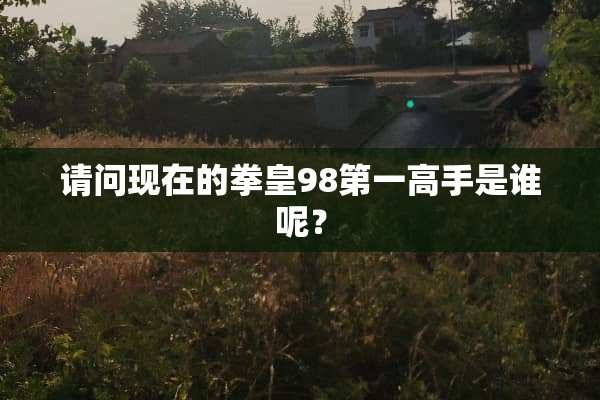 请问现在的拳皇98第一高手是谁呢？