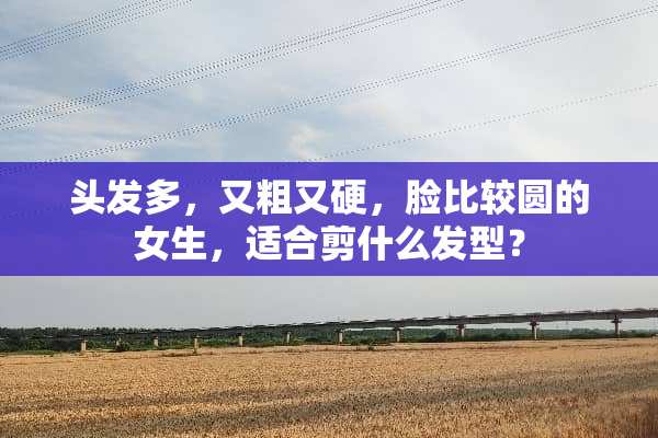 头发多，又粗又硬，脸比较圆的女生，适合剪什么发型？