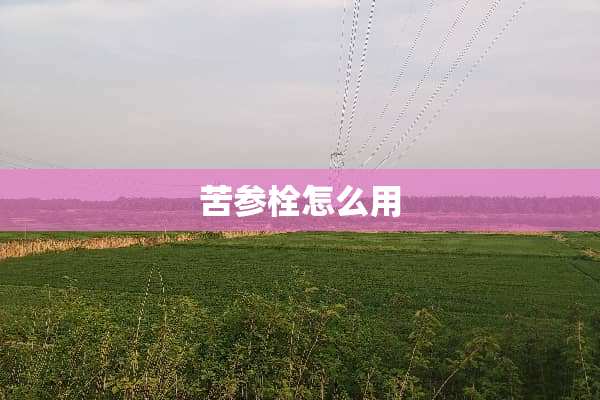 苦参栓怎么用