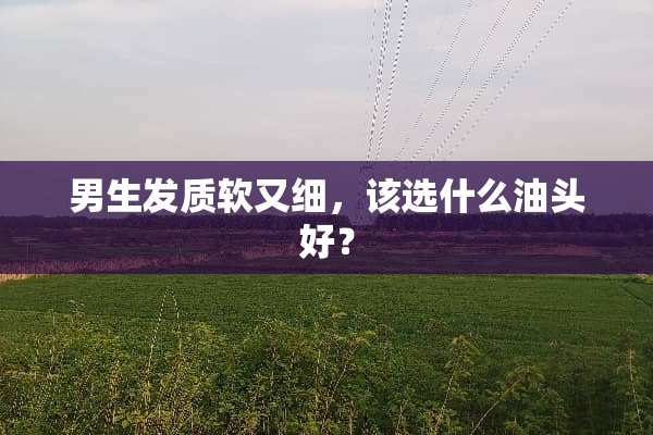 男生发质软又细，该选什么油头好？