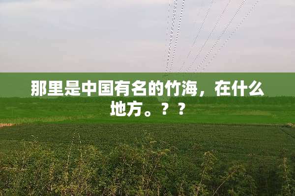 那里是中国有名的竹海，在什么地方。？？