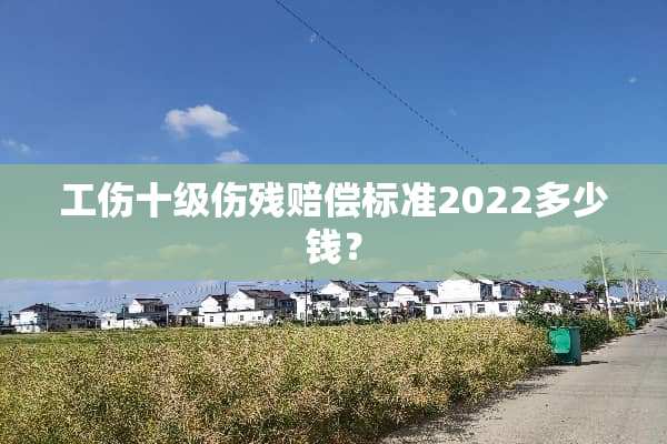 工伤十级伤残赔偿标准2022多少钱？