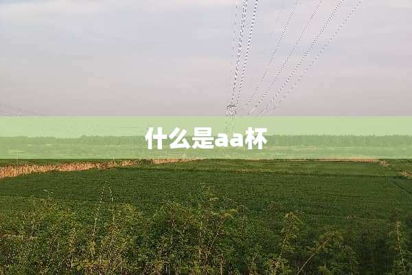 什么是aa杯