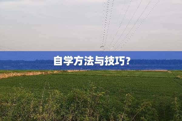 自学方法与技巧？