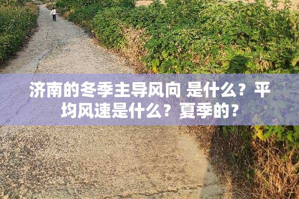 济南的冬季主导风向 是什么？平均风速是什么？夏季的？