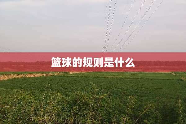 篮球的规则是什么