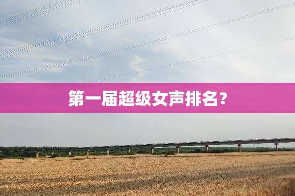 第一届超级女声排名？