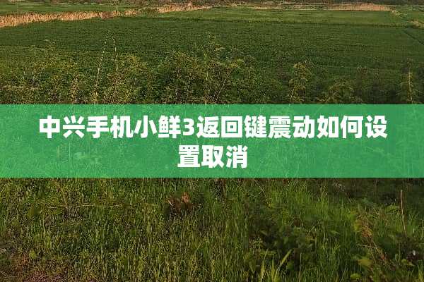 中兴手机小鲜3返回键震动如何设置取消
