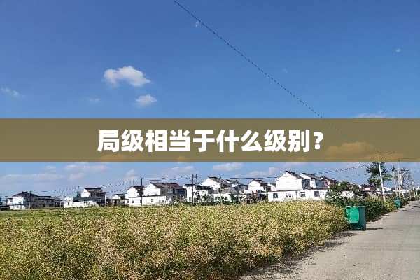 局级相当于什么级别？