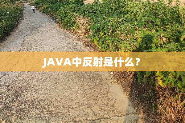 JAVA中反射是什么？