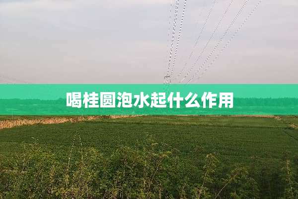 喝桂圆泡水起什么作用