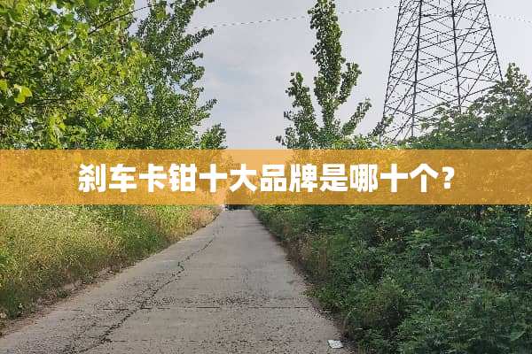 刹车卡钳十大品牌是哪十个？