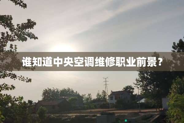谁知道**空调维修职业前景？