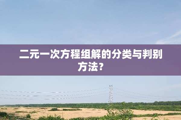 二元一次方程组解的分类与判别方法？