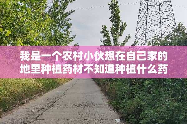 我是一个农村小伙想在自己家的地里种植药材不知道种植什么药材好