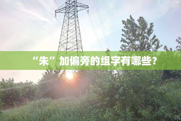 “朱”加偏旁的组字有哪些？
