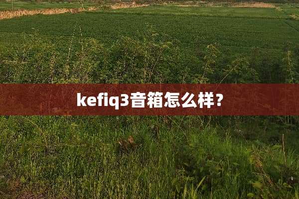 kefiq3音箱怎么样？