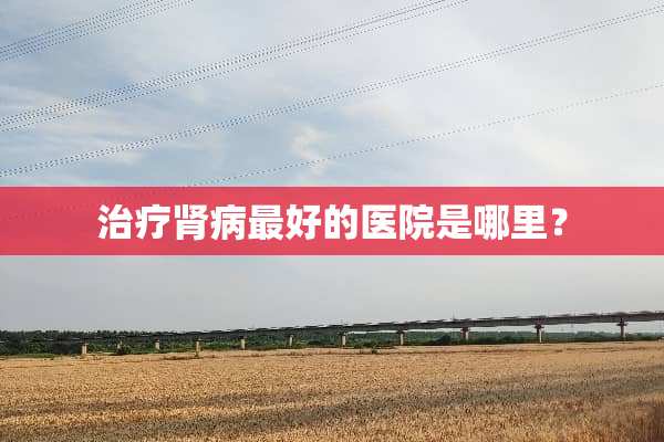 治疗肾病最好的医院是哪里？
