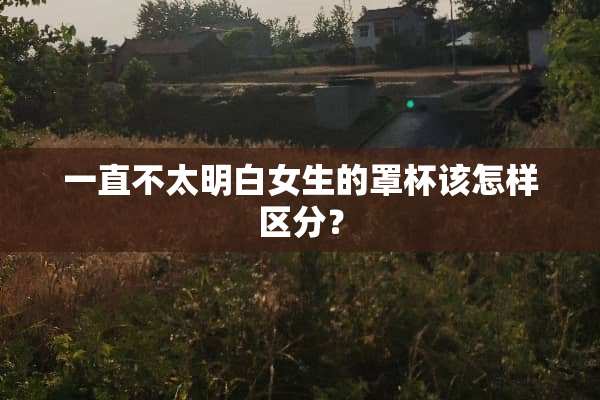 一直不太明白女生的**该怎样区分？